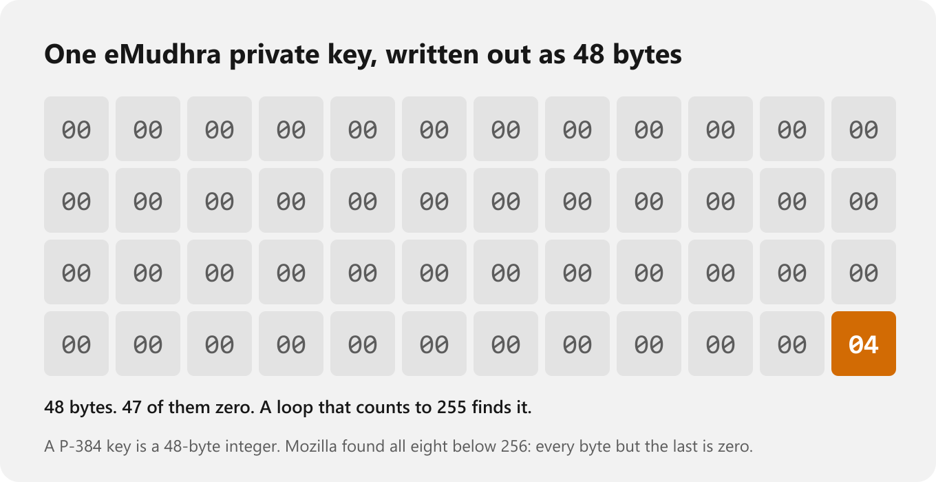 A grid of 48 bytes, 47 of them 00 and the last one 04